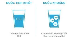 Home 103 Nước tinh khiết và nước suối: Loại nào tốt hơn?